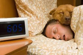 Waking Up Tired? 7 Reasons Why 8 Hours Isn’t Enough - SleepOracles image - SleepOracles